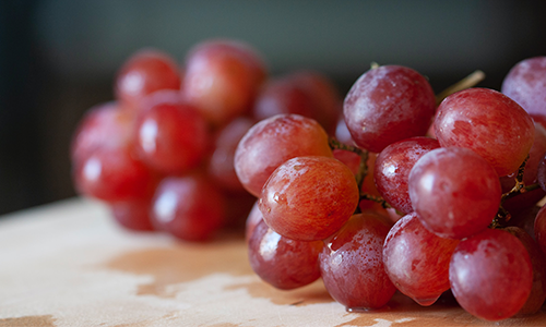 Grapes toxic to outlet cats